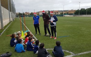 U6: Programme Educatif Fédéral