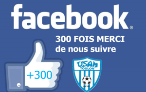 300 Like sur la page facebook