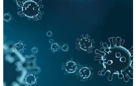 Corona Virus: Suspension de tout rassemblement sportif