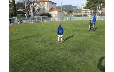 Créneaux reprise des entraînements saison 2019-2020 
