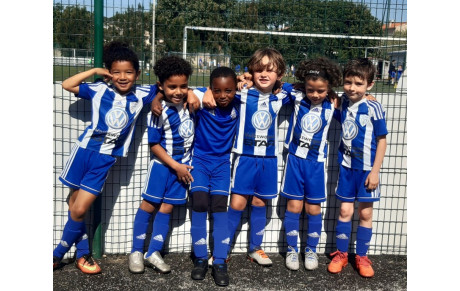 U6 (A)